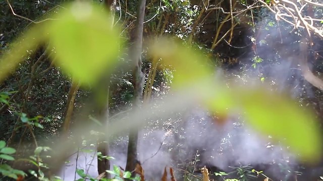 #BraisPorkBelly Cooking Pork Belly Meat Creative Recipe Eating So Delicious - Braised Pork Belly BBQ