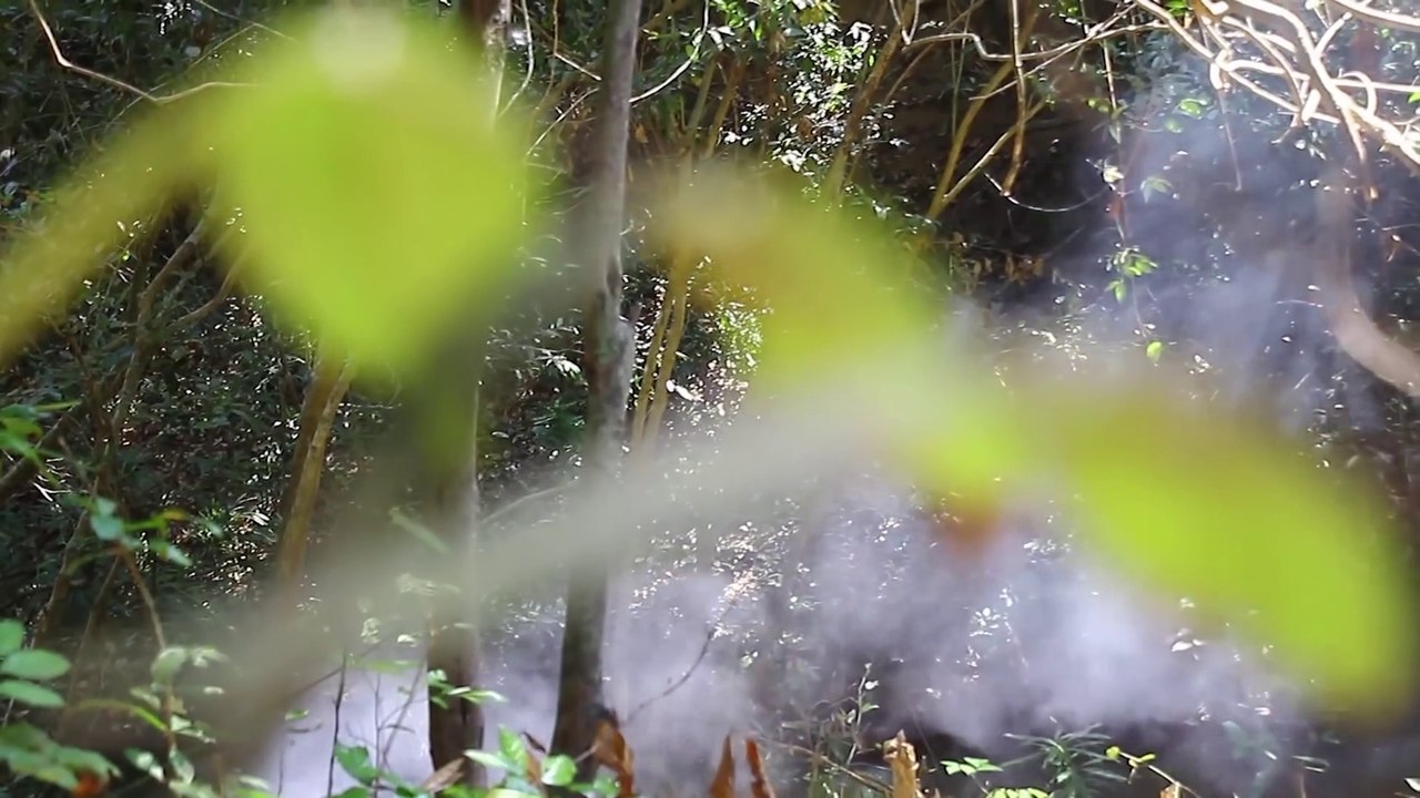 #BraisPorkBelly Cooking Pork Belly Meat Creative Recipe Eating So Delicious - Braised Pork Belly BBQ