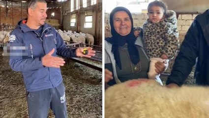 Türkiye'nin en büyük koyunu! Metreyi alıp boyunu ölçtü, gördüğü rakama kendisi bile inanamadı