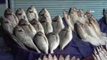 Gastronomi kenti Gaziantep'te balık, kebabın gölgesinde kaldı
