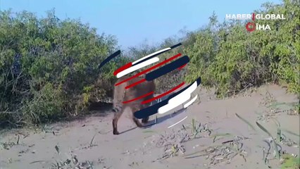 Fotokapan ile görüntülendi! Sazlıklarda yaşıyor
