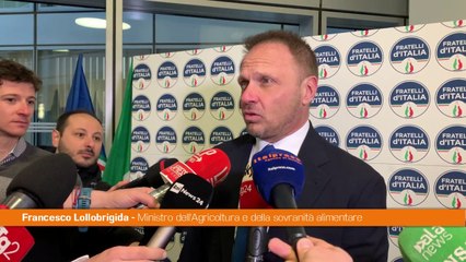 Lollobrigida "Non ci sono tensioni particolari nella maggioranza"