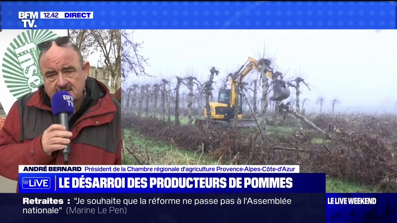 André Bernard, de la Chambre d'agriculture de la région PACA, sur le désarroi des producteurs de pommes: "C'est une économie qui s'en va, c'est un patrimoine qui s'en va"