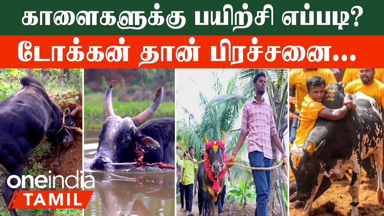 Jallikattu 2023 களம்! தயார் நிலையில் வீரர்கள், காளைகள் *Interview