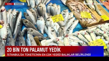 Palamut hamsinin tahtına oturdu! İşte balık fiyatlarındaki son durum