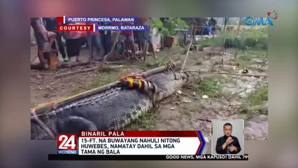 15-ft. na buwayang nahuli nitong Huwebes, namatay dahil sa mga tama ng bala | 24 Oras Weekend