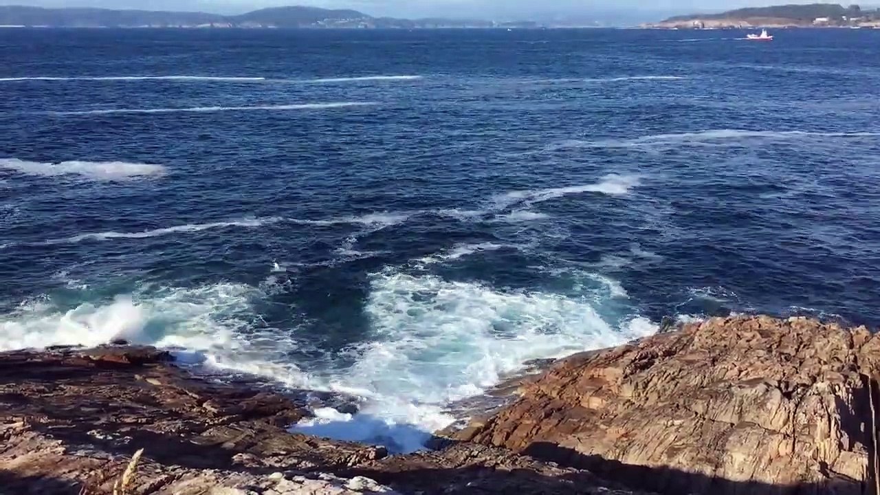 Relaxing music video to relief stress anxiety
