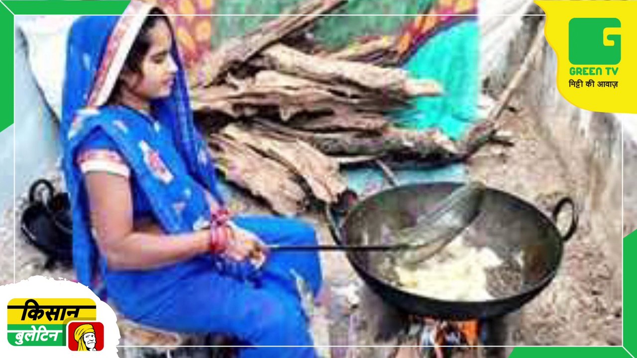 Kisan Bulletin 14 January 2023 - मंडियों में धान बेचने वाले किसानों को अब मुफ्त मिलेगा खाना, सरकार ने शुरू की कैंटीन | Green TV