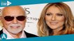 Céline Dion : sa biographe raconte les “horribles” derniers instants de son mari René Angelil