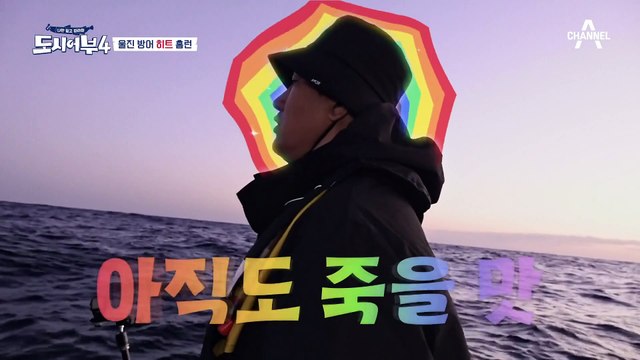 킹태곤 배지 사수★ 기세 좋은 알 부시리를 낚은 태곤? 쉽게 굴복하지 않는 녀석!