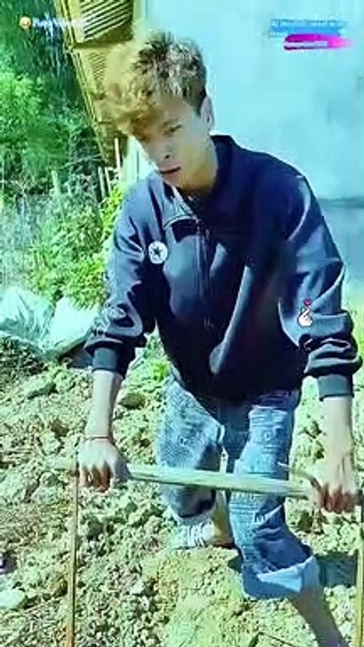 Very funny videos, try not to laugh