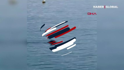 Bodrum'da vatandaşlar tarafından görüntülendi! İskele civarında dolandı