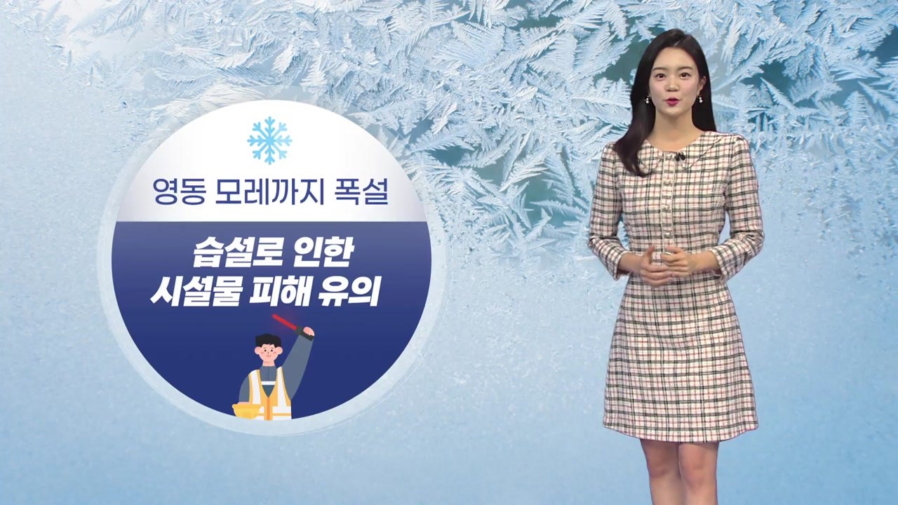 [날씨] 영동 모레까지 폭설...습설로 인한 시설물 피해 유의 / YTN