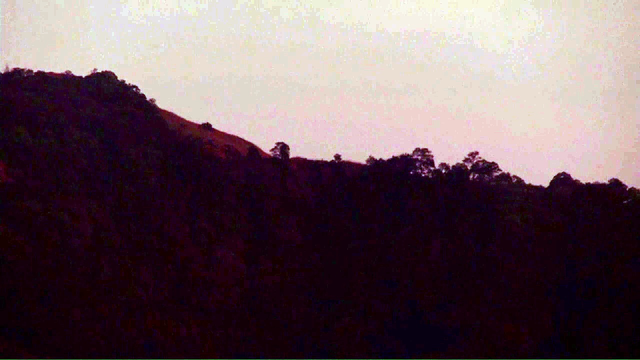 Makara Jyothi: சபரிமலையில் மகரஜோதி தரிசனம்.. ஐயப்ப பக்தர்கள் பரவசம்