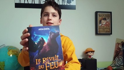 Les Lectures d'Arthur - mon avis sur  "Le Réveil Du Feu"