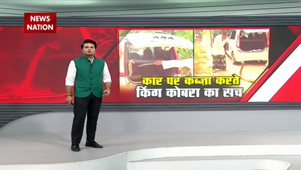 LIE DETECTOR TEST : कार पर कब्जा करते किंग कोबरा का सच...