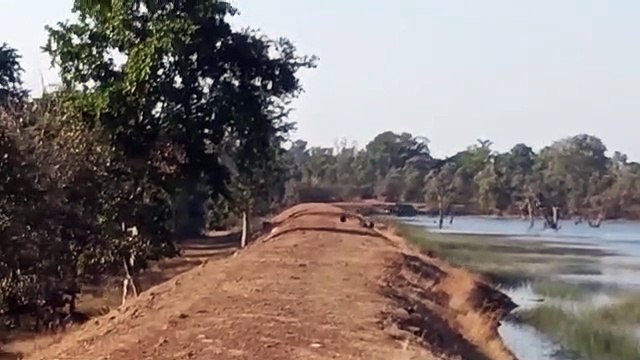 How many birds in Nauradehi Sanctuary of Sagar, you know
