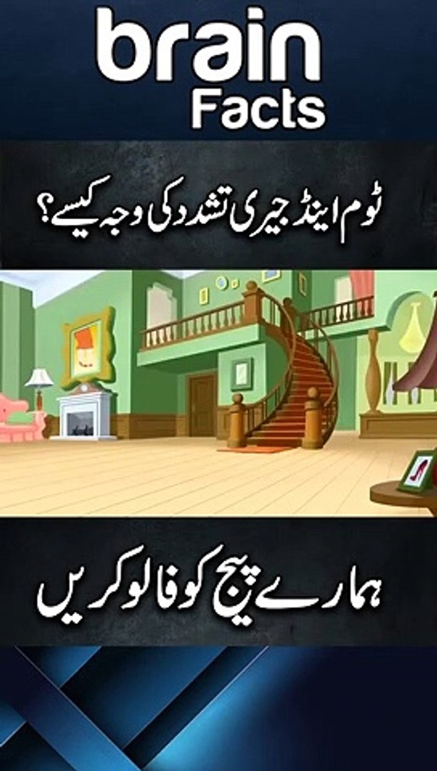 Facts About Urdu