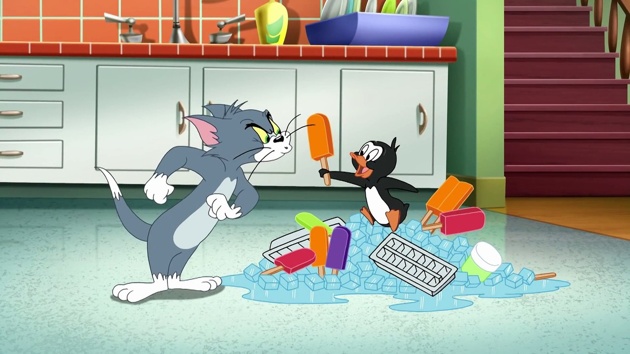 Tom  Jerry  Penguin in the House