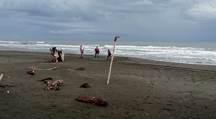 tn7-Encuentran cuerpo de niño desaparecido en playa de Limón-140123