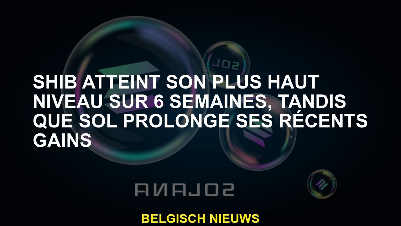 Shib atteint son plus haut niveau sur 6 semaines, tandis que Sol prolonge ses gains récents