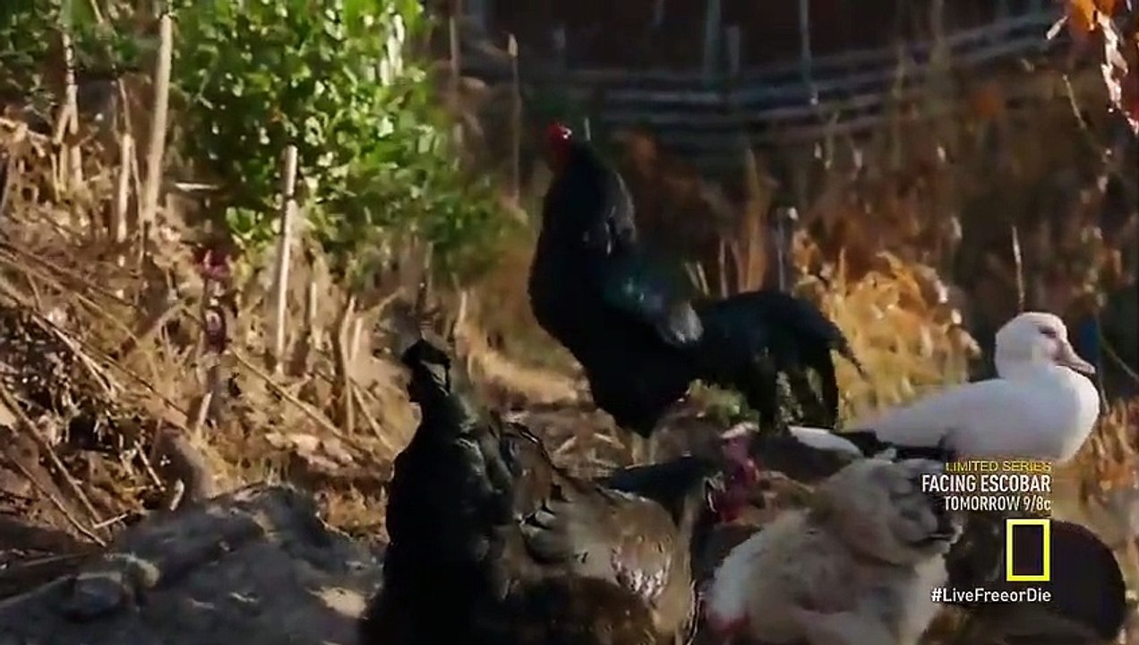 Live Free or Die - Se3 - Ep04 - Down $$ Dirty - Blood Harvest HD Watch