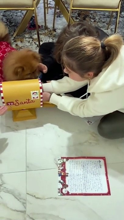 A Surprise from Santa