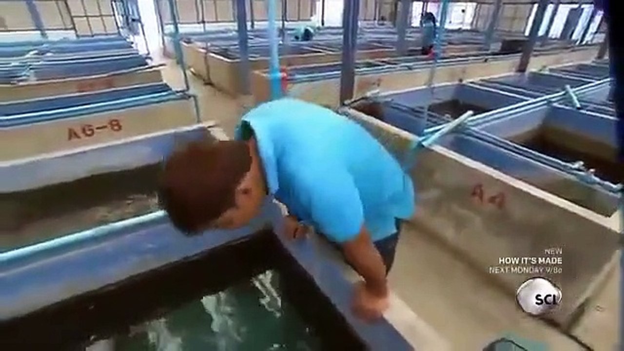 How It's Made - Se27 - Ep05 HD Watch