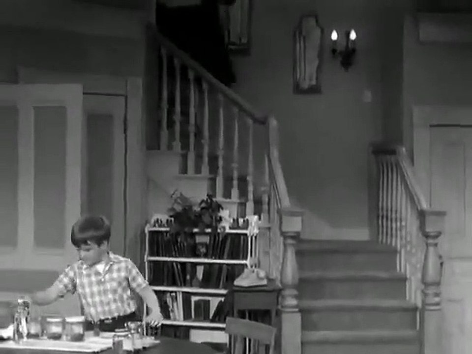 The Lucy Show - Se1 - Ep29 HD Watch