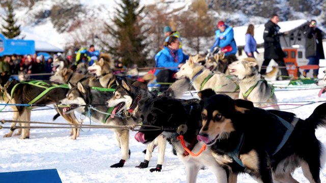 Etape 7a - Bessans – Val Cenis Base Polaire présentée par Francodex