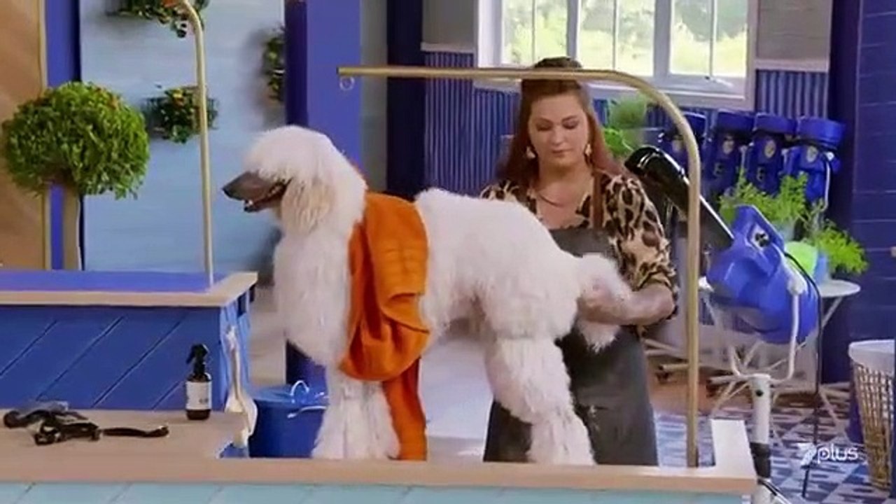 Rebel Wilson's Pooch Perfect - Se1 - Ep08 HD Watch