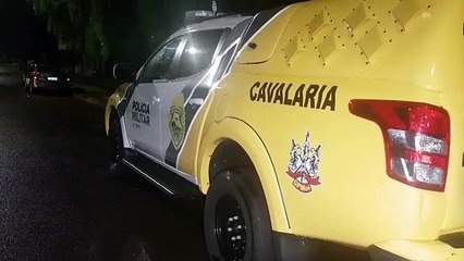 Palio é apreendido durante ação da PM no Bairro Morumbi