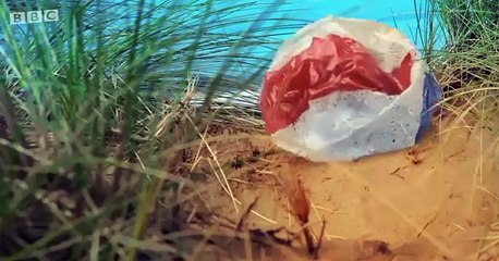 Twirlywoos Twirlywoos S04 E002