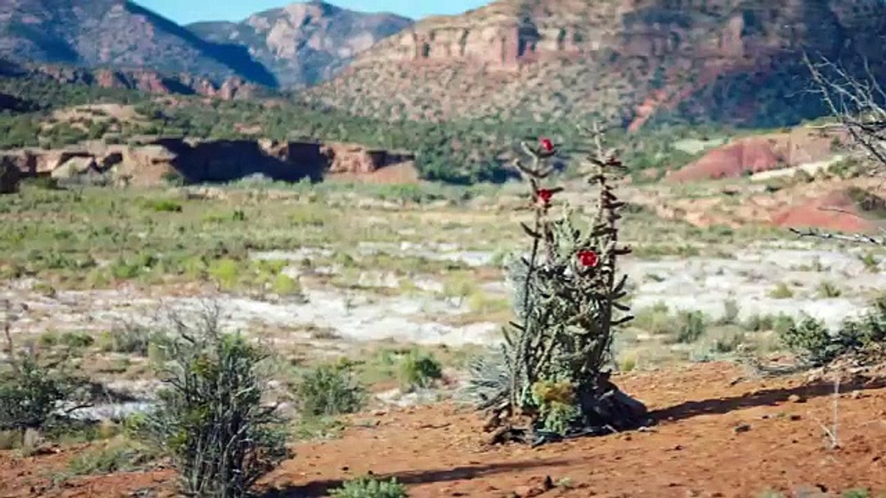 The Girlfriend Experience - Se2 - Ep14 - Bria - Relapse HD Watch