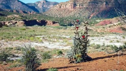 The Girlfriend Experience - Se2 - Ep14 - Bria - Relapse HD Watch