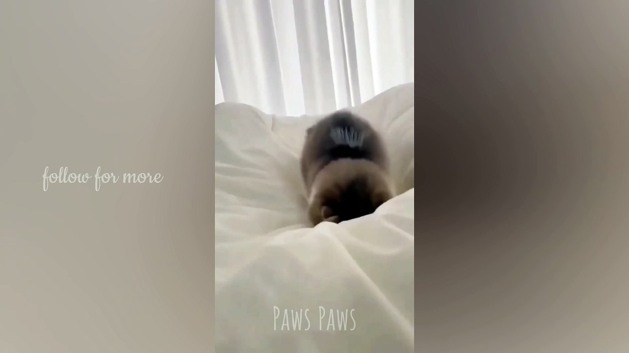so cute 