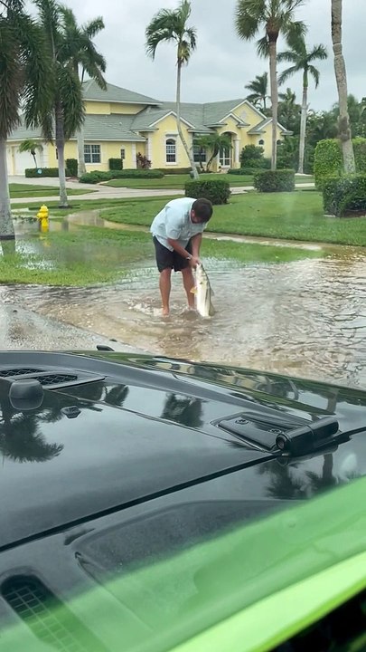 Man Catches Large Snook Fish From Aftermath Puddle of Hurricane Ian