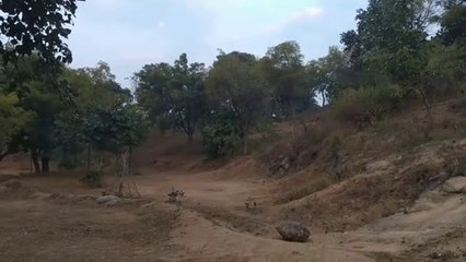 Bhor bhayo raho neerogee Kali Mandir se Surya