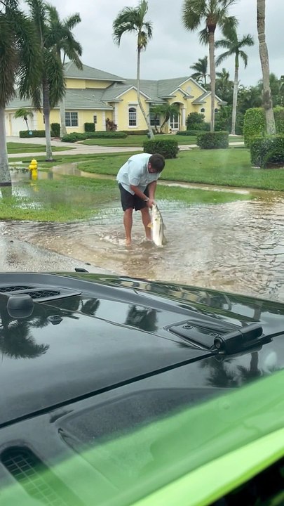 Man Catches Large Snook Fish From Aftermath Puddle of Hurricane Ian