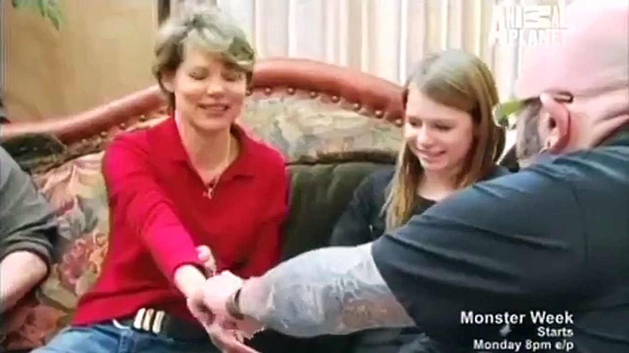 My Cat from Hell - Se4 - Ep07 - The White Tornado HD Watch