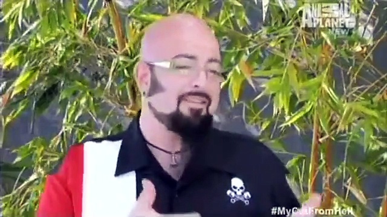 My Cat from Hell - Se4 - Ep08 - Chubs HD Watch