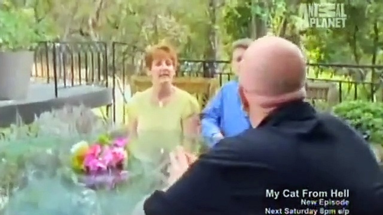 My Cat from Hell - Se4 - Ep10 - Cat Horror Show HD Watch