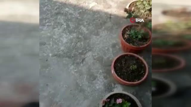 Nepal'de 72 kişiyi taşıyan yolcu uçağı düştü