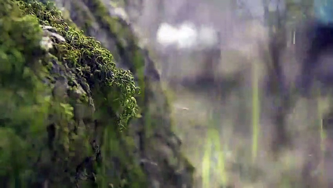 The Face of Evil - Se1 - Ep01 HD Watch