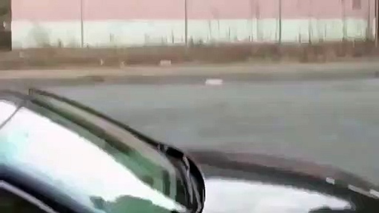 Happy Tree Friends - Smoochies - Ep01 - Cuddles' Pet Smoochie HD Watch