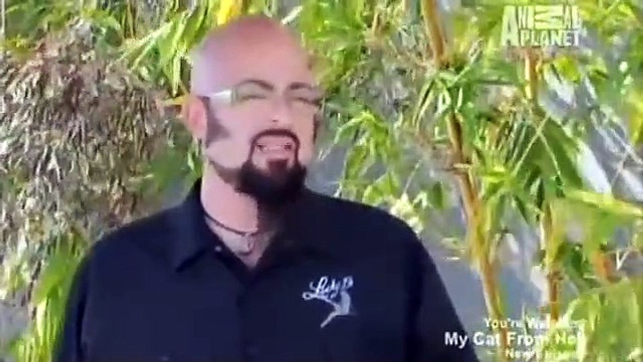 My Cat from Hell - Se4 - Ep02 - Roommates From Hell HD Watch