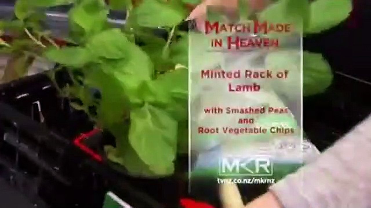 My Kitchen Rules (NZ) - Se1 - Ep17 HD Watch