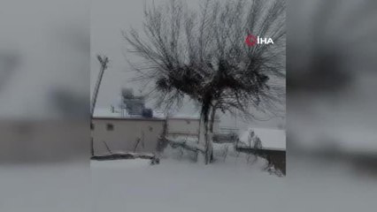 Yılın ilk kar yağışıyla birlikte her yer beyaza büründü