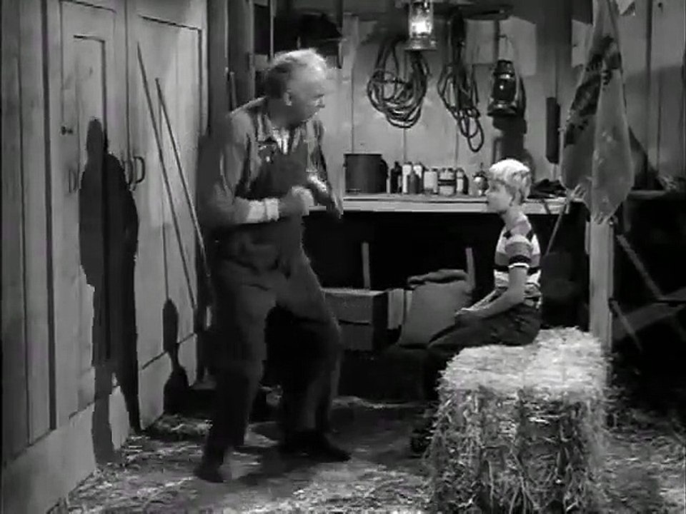 The Real McCoys - Se1 - Ep19 HD Watch