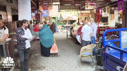 الدواجن في مصر.. ركود بسبب أسعار نارية والمواطن الضحية